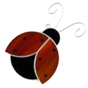 LadyBug Suncatcher/Nightlight